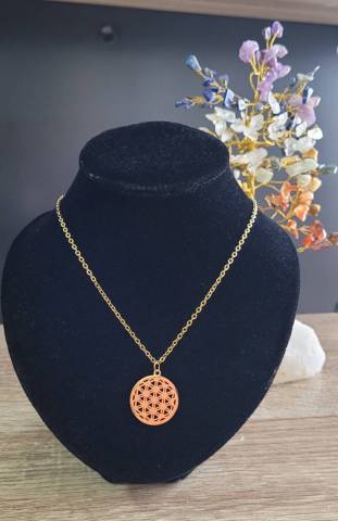 Collier en Acier Inoxydable  Cadeau Idal, Durable et Raffin